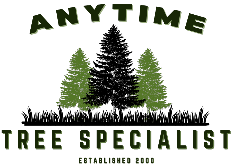 ANYTIME TREE SPECIALIST